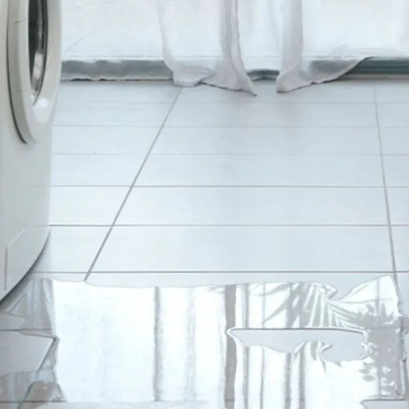 Appliance Leak Cleanup in Hitchcock, TX