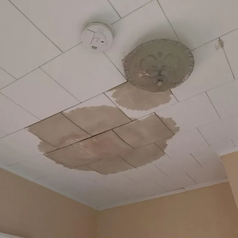 Ceiling Water Damage Repair in Hitchcock, TX