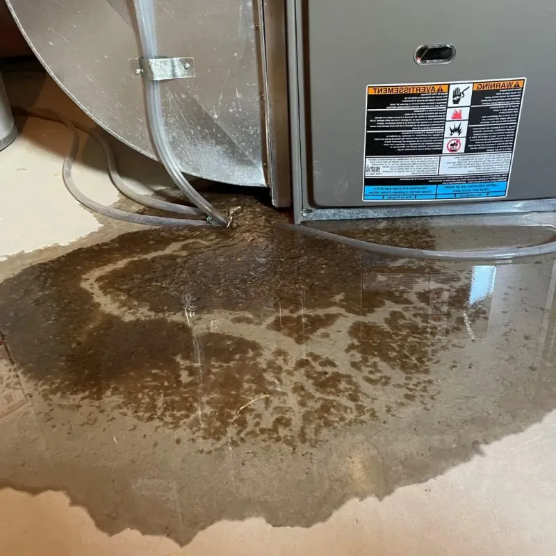 Pipe Burst and Leak Restoration in Hitchcock, TX