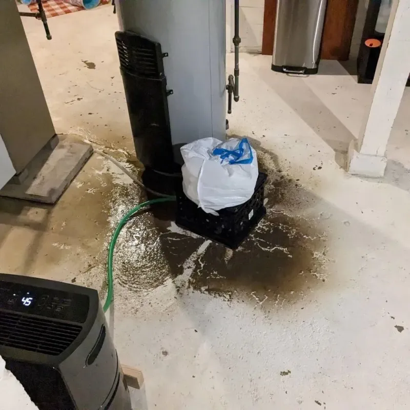 Sewage Backup Cleanup Service in Hitchcock, TX